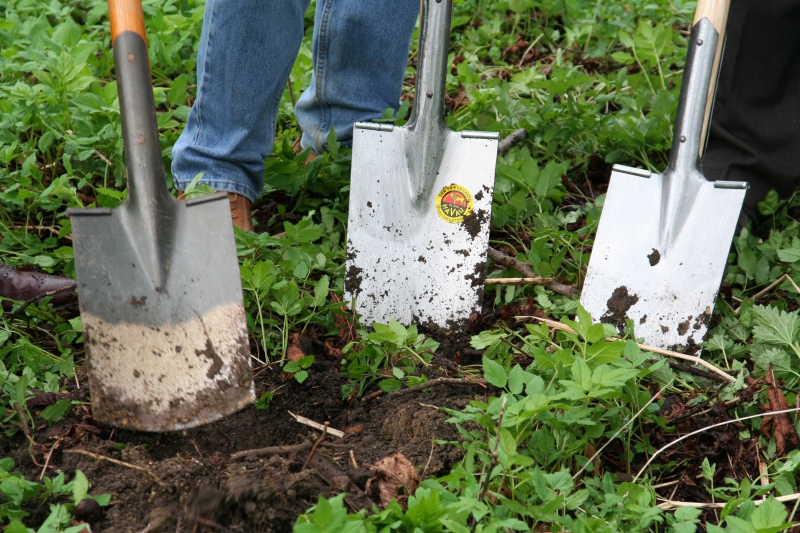 pepiniere-ARTIGNOSC SUR VERDON-min_work-lawn-flower-tool-green-backyard-1103633-pxhere.com